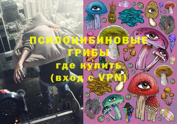 хмурый Алзамай