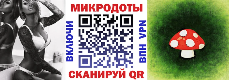 Псилоцибиновые грибы GOLDEN TEACHER Апшеронск